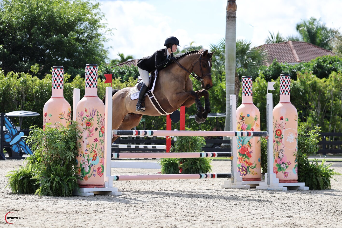 1.10m schooling jumper; 4538, CAMIRO HS, CLAIRE CONNAGHAN; Sportfot