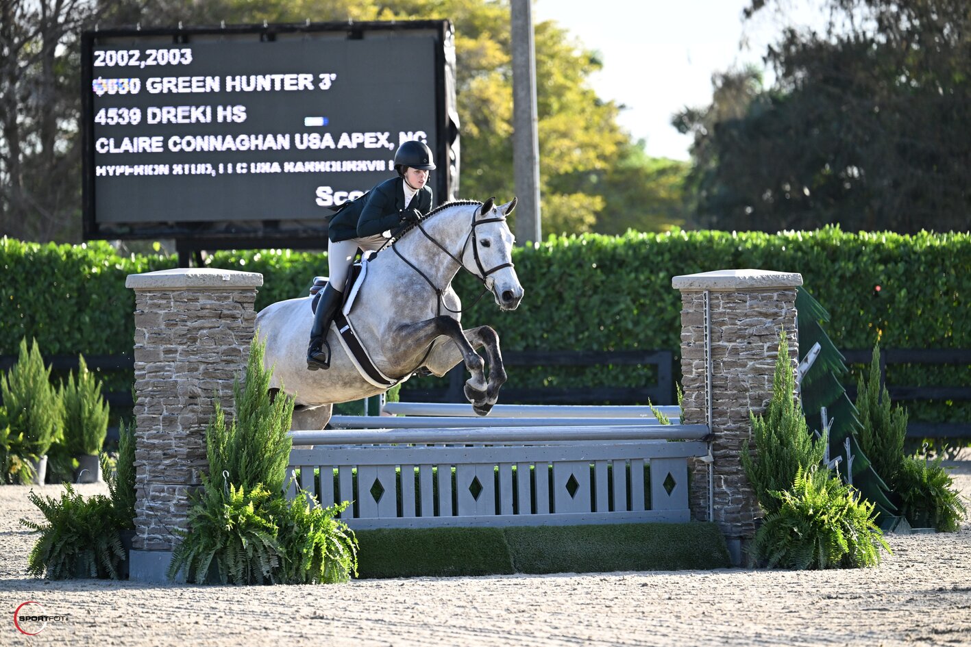 green hunter 3'; 4539, DREKI HS, CLAIRE CONNAGHAN; Sportfot